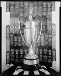 Trophy, Backed By Many Ribbons, Won By Egg Laying Chickens At Lord Brothers Farm In Kezar Falls by George French