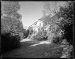 View From Driveway Towards Shrub And Tree Covered House In New Jersey. by George French