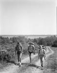 Group Of Boys Hiking On A Hill In Damariscotta, Lake In Background by French George