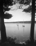 Three Small Sailboats Under Way On Damariscotta Lake by French George