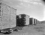 Piles Of Lumber Set Out To Dry In Parsonsfield by French George