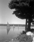 Three Small Sailboats Under Way On Damariscotta Lake In Jefferson by French George