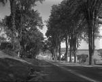 Shot Down Road With House On Right And Water Behind, Trees Along Road by French George