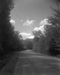 Gravel Road Through Woods Near Houghton (Rte 17) by French George