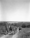 Group Of Boys Hiking Up A Hill Near Damariscotta, Lake In Background by French George