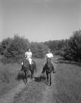 Man And Woman Riding On A Woods Road In Jefferson by French George