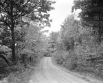 A Car Driving Down A Country Road In The Fall, 1940