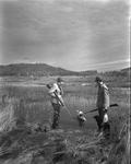 Two Duck Hunters Waiting For Dog To Retrieve Downed Bird by French George
