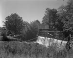 Old Mill Dam by French George
