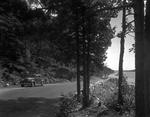 Sargent Drive Along Somes Sound On Mount Desert Island by French George