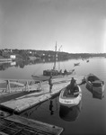 Boats Tied In At Float In Friendship Harbor by French George