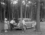 Family Unloading Fixings For A Picnic At A Picnic Area In Sebago by French George
