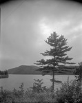 View Of Echo Lake On Mount Desert Island by French George