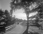 Car Going Along A Country Road by French George