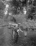 Man Standing In Stream Netting A Fish He Caught On A Fly In North Sebago by French George