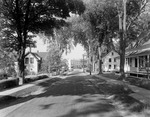 Tree Lined Street With Homes In Kezar Falls by French George