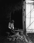 Farmer Sitting In Doorway Of A Barn, He Is Hulling Corn Into A Tub In Porter by French George