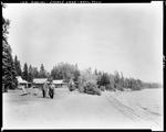 Log Cabins Along Shore Of Square Lake In Aroostook County by French George