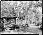 Log Cabin At Cross Lake by French George