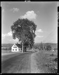 Blacktop Road Through Hills And Fields In Union by French George