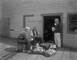Three Old Timers On A Pier Shucking Clams--Five Islands by French George