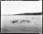 Group Of People Swimming At Woods Pond In Bridgton by French George