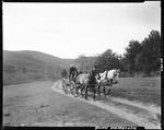 Horse Drawn Wagon On A Dirt Road by French George