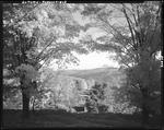 A View Of Trees With Lake In Background In Parsonsfield by French George