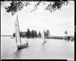 Two Small Sailboats Out On Damariscotta Lake--Camp Wavus by French George