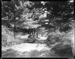 Car Parked On A Gravel Woods Road In Parsonsfield, Boy And Grandfather Getting Ready To Go Fishing by French George