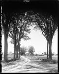 Gravel Road Past A Farm In Parsonsfield by French George