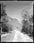 Gravel Road Through Woods And Hills, South Arm Road by French George
