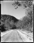 Gravel Road Through Woods And Hills, South Arm Road by French George