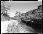 Gravel Road Along A Stream In A Valley At South Arm by French George