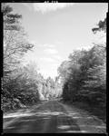 Blacktop Highway Through Woods In Hiram by French George