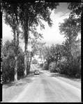 Tree Lined Road Through Countryside Of Parsonsfield by French George