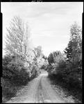 A Car Driving Down A Country Road In The Fall In Parsonsfield, 1942