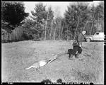 Hunter Dragging A Deer Out Of The Woods--Parsonsfield by French George