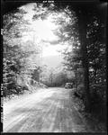 Gravel Road Through Woods In Evans Notch by French George