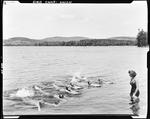 Girls Taking Swimming Lessons At A Girls Camp In Union by French George