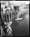 Two Dories Full Of Herring Tied Up To A Dock In Friendship, Workers Unloading Another by French George