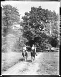Two Women Horseback Riding Down A Woods Road In Jefferson by French George