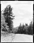 Tree Lined Gravel Road In Parsonsfield by French George