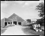 Workers Boxing And Sorting Apples At Douglas Hill In Sebago by French George