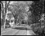 Tree Lined Road With Houses On Either Side In Baldwin by George French