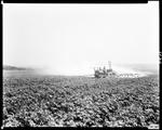 Worker Using A Tractor To Spray A Potato Field In Caribou by George French
