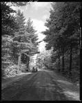 Gravel Road Through Evergreen Forest In Cornish by George French