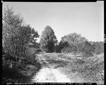 Gravel Road Through The Woods And Fields Of East Parsonsfield by George French