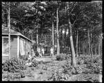 Cabins At "Forest Acres" In Fryeburg by George French