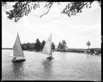 Two Small Sailboats On Damariscotta Lake In Jefferson by George French